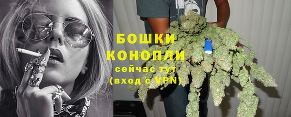 индика Новый Уренгой