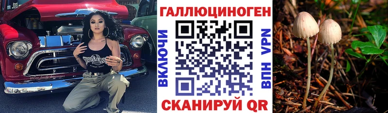 Псилоцибиновые грибы Cubensis  Нягань 